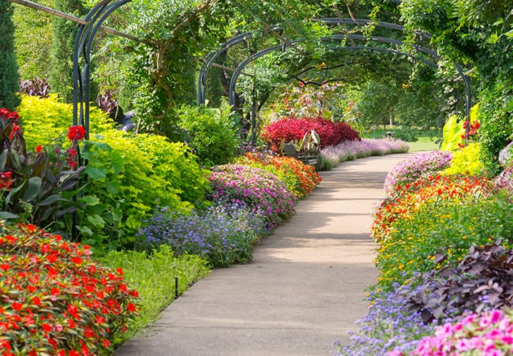 Cheekwood Gardens